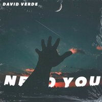Need You - David Verde