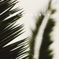 治愈轻松养生 - 疗愈音律