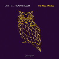 Cosmic Sign - Lica
