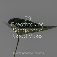 Slumberland Snoozing - Relaxing Nature Sounds Collection & Música de la Naturaleza & Relaxing Nature Ambience