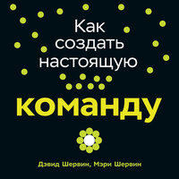 Дэвид Шервин, Мэри Шервин. «Как создать настоящую команду: Алгоритмы, повышающие эффективность совместной работы». Часть 20 - Татьяна Оверченко