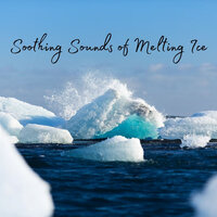 Laziness - Relaxing Nature Sounds Collection & The Nature Project & Nature Sounds Piano