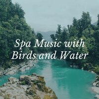 Medical Aromatherapy - Spa Radio Collection