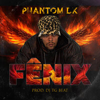 Fenix - Dj TG Beat & Phantomdk