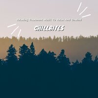 Make the World a Better Place - Chillbites