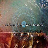 Prescripted Nights Rest - Rest & Relax Nature Sounds Artists