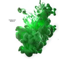 Boreal - Rodrigo Díaz