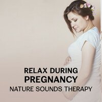 Windy Day in Zen Garden - Future Moms Academy