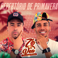 Chama na Catráca - Zé da Vea & Zé da Vea Cubinho no Teclado