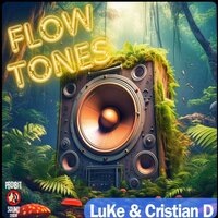 Flow Tones - LUKE & Cristian D