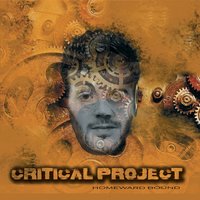 Handcuffed - Critical Project
