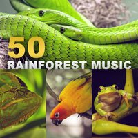 Innocent Sleep - Zen Soothing Sounds of Nature