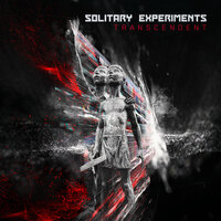 Discipline - Solitary Experiments