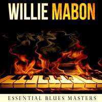 Rosetta Rosetta - Willie Mabon
