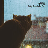 Rain Calming Experience - Music For Cats & Pet Care Club & Música Relajante para Perros