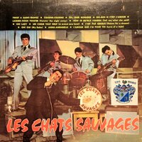 C'est pas sérieux - Les Chats Sauvages