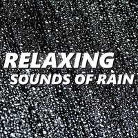 Graceful Moonlit Rainfall Sounds - Rain Sounds