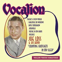 Moonlight on the Prairie - Joe Loss
