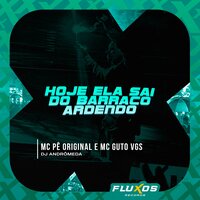 Hoje Ela Sai do Barraco Ardendo - Mc Pê Original & MC Guto VGS & DJ Andromeda