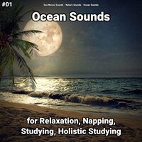Ocean Sounds Pt. 13 - Sea Waves Sounds & Nature Sounds & Ocean Sounds