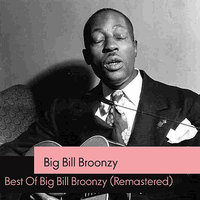 Big Billy Blues - Big Bill Broonzy