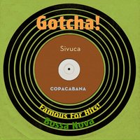 Desafinado - Sivuca & Les Rythmes brésiliens de Silvio Silveira