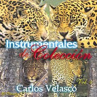 Sahara - Carlos Velasco