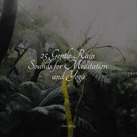 Delicate Rains - Lullabies for Deep Meditation & Yoga Trainer & Lightning