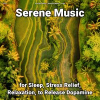 Serene Music Pt. 66 - Peaceful Music & Relaxing music & Yoga