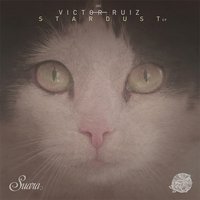 Stardust - Victor Ruiz