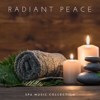 Zenith Zephyr - Spa Music Collection