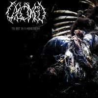 Ashen Flowers - Calcined
