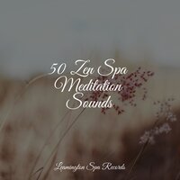 Healing - Massagem Coleção de Músicas & Oasis of Meditation & Preschool Kids