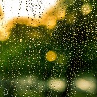 Steady Drizzle at Night - Rain Noise Channel