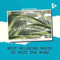 Evening Raindrops for Cats - Relaxing Rainstorm & Relaxing Music Therapy