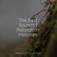 Windy - Música Zen Relaxante & Lullabies for Deep Meditation & Soothing White Noise For Infant Sleeping And Massage