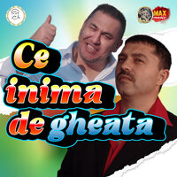 DE CE VREI SA MA UMILESC - Nicolae Guta & Nicusor Guta & Mihaela Minune