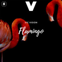 Flamingo - Vic Vision