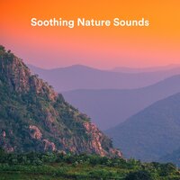 Forest Sounds - Calming Rainforest Sounds & Lightning, Thunder and Rain Storm & Sonido Del Bosque y Naturaleza