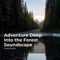 Creatures of the Jungle - Ambient Forest & Forest Sounds & Rainforest Sounds