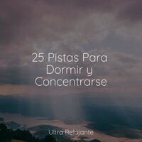 Reflexiones Solares - Unidad de música zen relajante & Naturaleza & Ioga