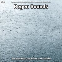 Regen Sounds, pt. 9 - Regengeräusche zum Einschlafen Patrick Mazio & Regengeräusche & Naturgeräusche