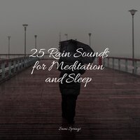 Bonfire Night - Sons da Natureza Relax & Nature Sounds for Concentration & Relaxing Rain Sounds