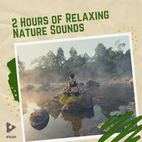Tripping On Nature - #Sleep & Sleep Sounds Of Nature