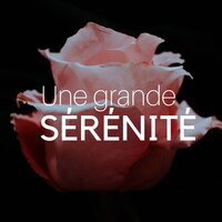 Entraînement mental - Jardin japonais