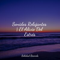 Melodías Naturales - Música De Relajación Para Dormir Profundamente & Canciones de Cuna 101 & Massagem Guru