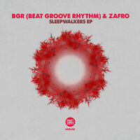 Ya Didn't Know Her - BGR (Beat Groove Rhythm) & ZAFRO