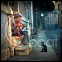Sweet Flute - Rafael Cancian