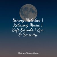 Understanding - Ambient Music Therapy & Relaxing Sleep Music & Tinnitus