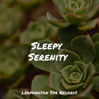 Mindful Waters - White Noise for Babies & Relaxing music & Relaxation Sleep Meditation
